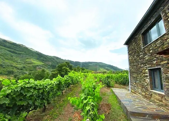 Quinta Do Enxertado